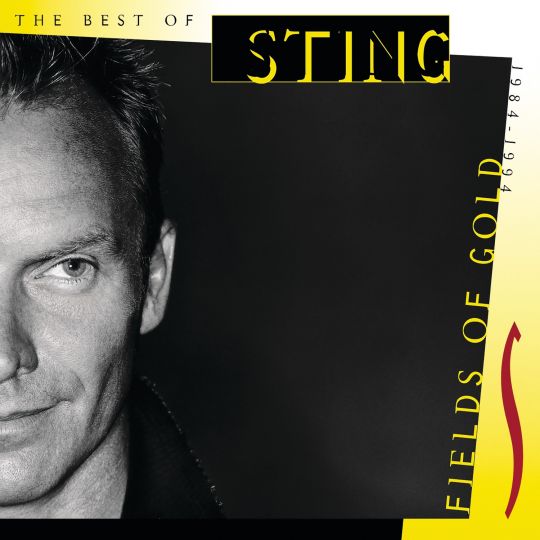STING ALL THIS TIME