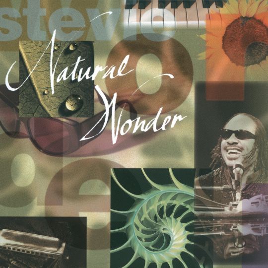 STEVIE WONDER HIGHER GROUND