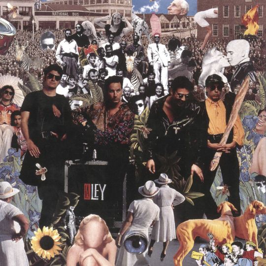 LA LEY TEJEDORES DE ILUSION