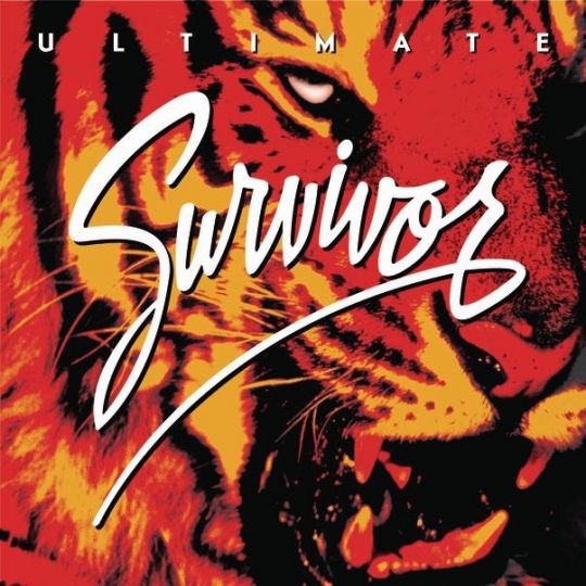 SURVIVOR  THE SEARCH IS OVER
