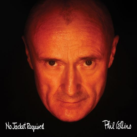 PHIL COLLINS DON'T LOSE MY NUMBER