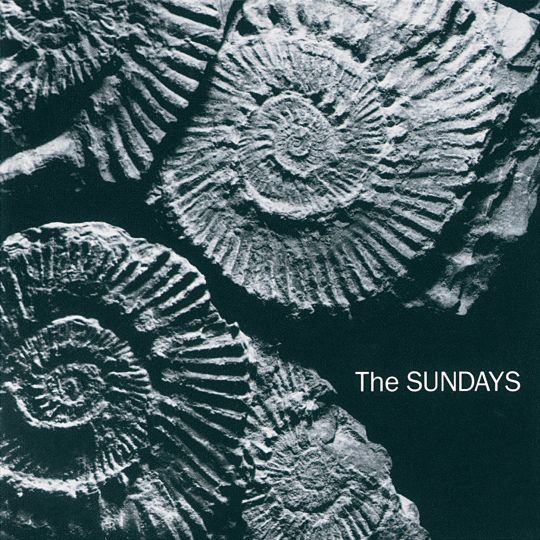 THE SUNDAYS HERE'S WHERE THE STORY ENDS