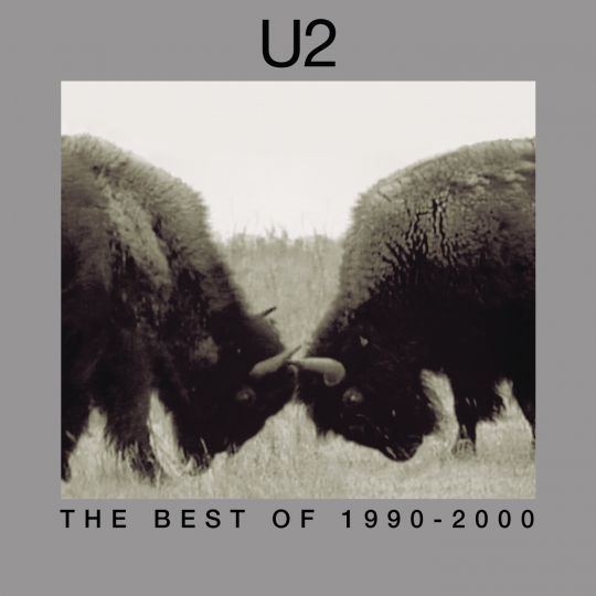 U2 STAY